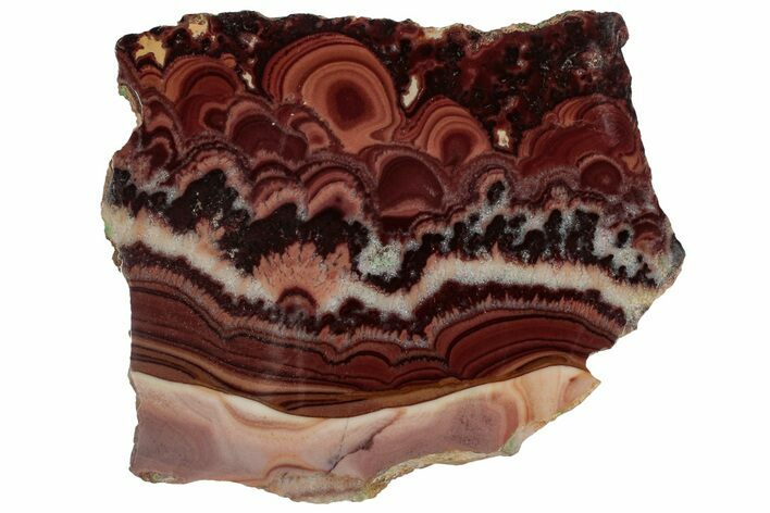 Polished Slab Of Rolling Hills Dolomite - Chihuahua, Mexico #316680